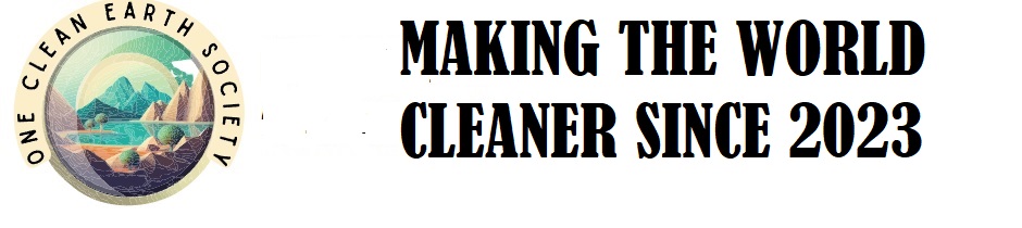 Making the World Cleaner Since 2023